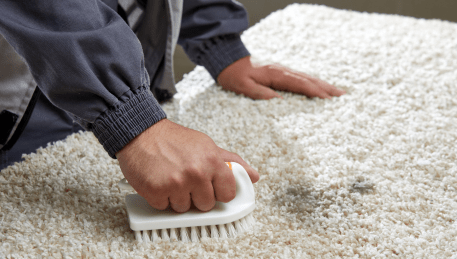 Professional Rug Cleaning Carlton